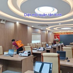 Dịch Vụ Diệt Mối Quận Tân Bình – 0982. 751. 119 16 diệt mối quận tân bình