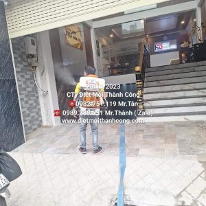 Dịch vụ Diệt mối cho khách sạn 22 Dịch vụ Diệt mối cho khách sạn