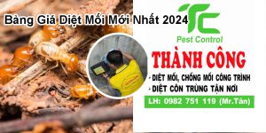 Bảng giá diệt mối tận gốc mới nhất 2024 9 bang gia diet moi moi nhat 2024