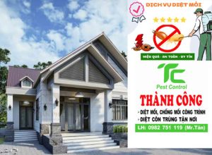 diet moi tan goc uy tin o binh phuoc 1