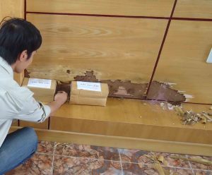 Hộp nhử mối có độc hại không?