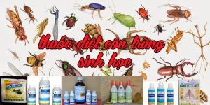 Thuốc diệt côn trùng sinh học và những điều bạn chưa biết