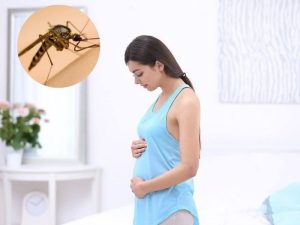 Thuốc diệt mối có ảnh hưởng đến bà bầu không?