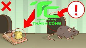 Cách diệt chuột cống lang bằng bẫy đơn giản tại nhà 3 Cách diệt chuột cống lang bằng bẫy đơn giản tại nhà