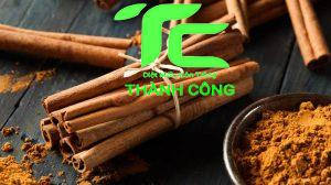 Chuột sợ mùi gì? Mẹo đuổi chuột bằng mùi hương. 16 Đuổi chuột bằng quế