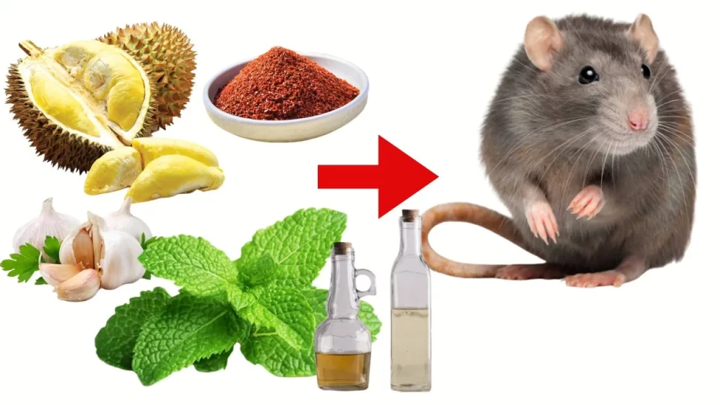 Diệt Mối Thành Công