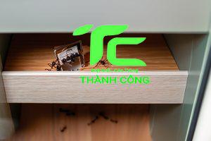 Cách diệt kiến trong tủ quần áo hiệu quả mà bạn nên biết 24 Cách diệt kiến trong tủ quần áo hiệu quả mà bạn nên biết