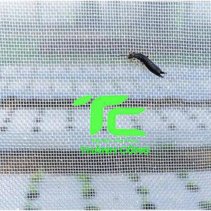 Cách Phòng Chống Côn Trùng Xâm Nhập Vào Nhà: Bảo vệ Gia Đình và Môi Trường Sống 14 Lưới trống côn trùng giúp ngăn côn trùng xâm nhập