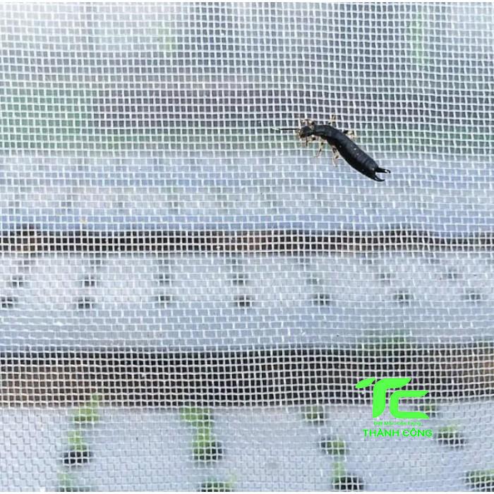 Cách Phòng Chống Côn Trùng Xâm Nhập Vào Nhà: Bảo vệ Gia Đình và Môi Trường Sống 4 Lưới trống côn trùng phòng chống côn trùng xâm nhập