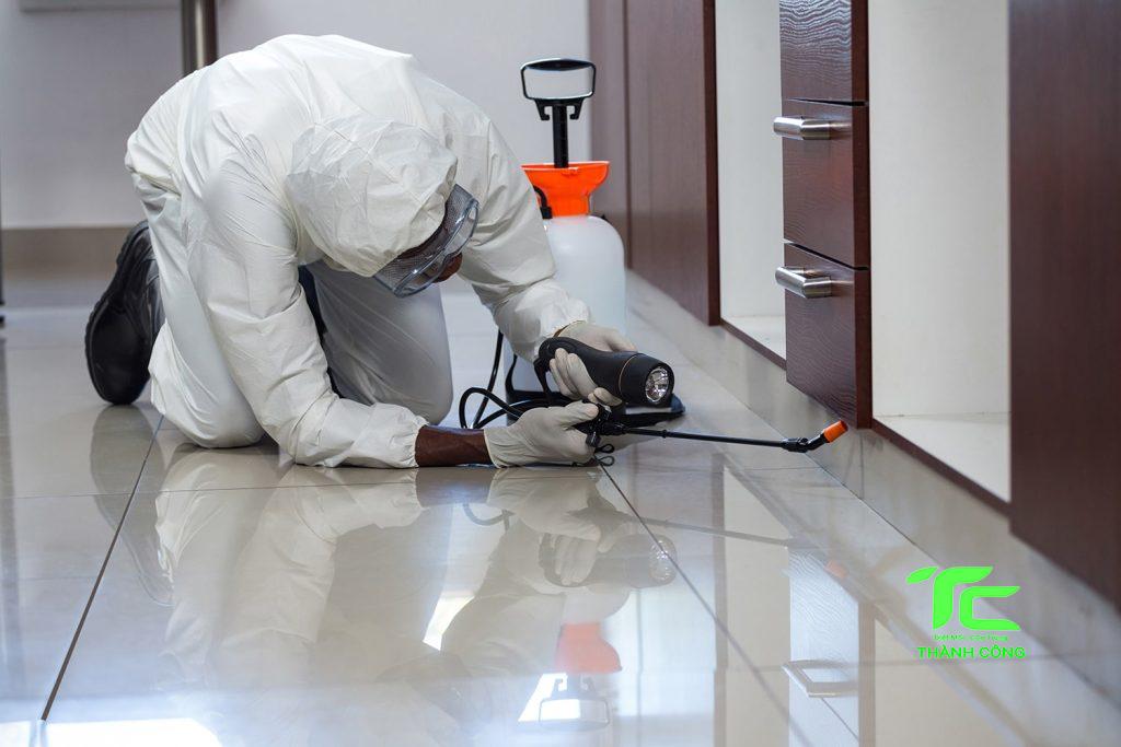 Xử lý mối tại nhà tỉnh Hải Phòng an toàn, nhanh chóng Xử lý mối tại nhà tỉnh Hải Phòng an toàn, nhanh chóng