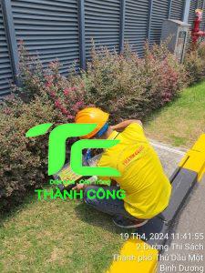 Dịch vụ diệt mối tại nhà quận Hà Đông 9 Diệt mối tại nhà quận hà đông