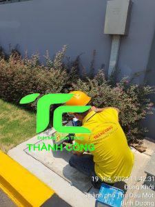 Dịch vụ diệt mối tại nhà quận Nam Từ Liêm  8 Diệt mối tại nhà quận nam từ liêm