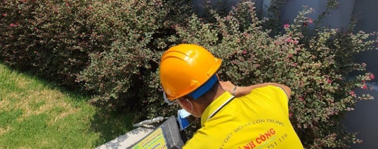 Diệt mối tại nhà quận nam từ liêm