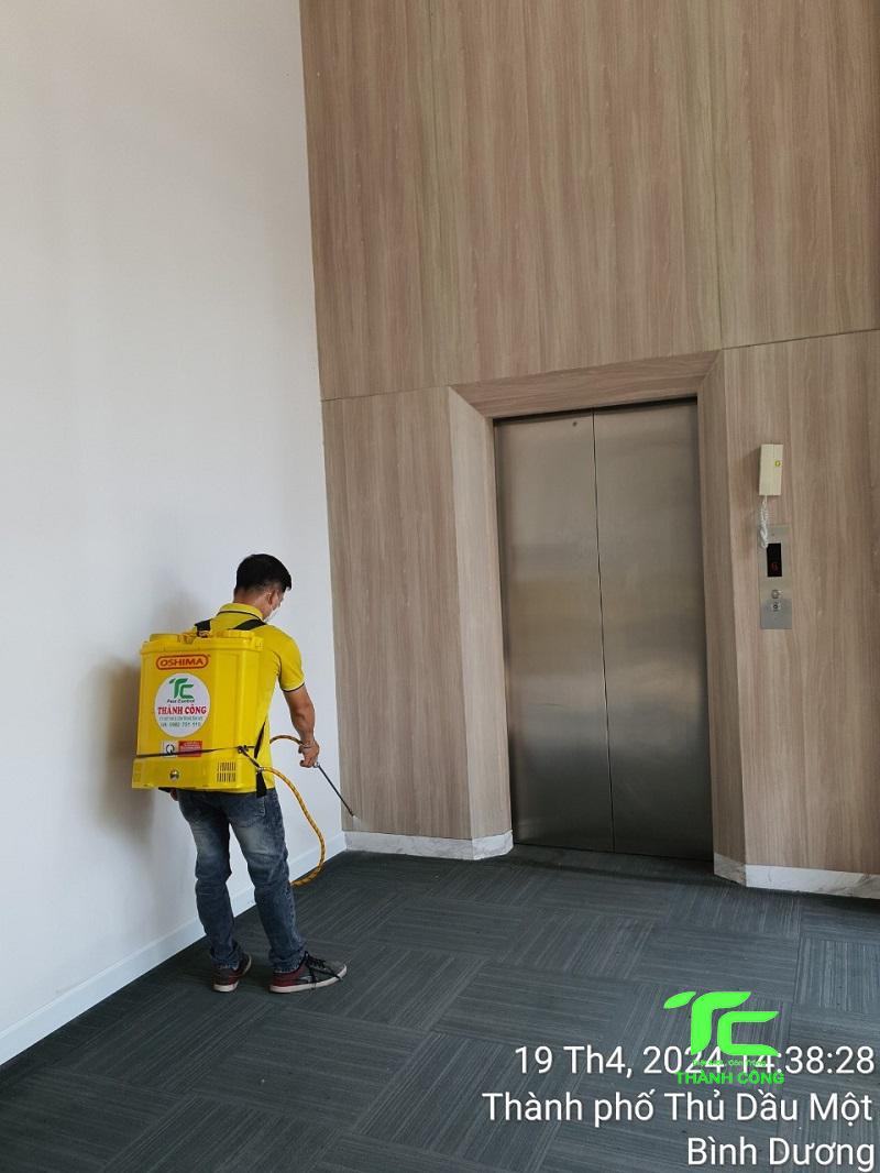 Diệt mối tận gốc tại quận Tây Hồ Diệt mối tận gốc tại quận Tây Hồ