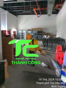 Diệt mối tận gốc tại quận Tây Hồ giá rẻ, sạch triệt để 4 Diệt mối tận gốc tại quận Tây Hồ