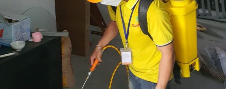 diệt mối tại quận Thanh Xuân