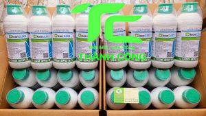 Top công ty diệt mối tại tỉnh Hà Giang uy tín nhất 2024! 14 Công ty diệt mối tại tỉnh Hà Giang