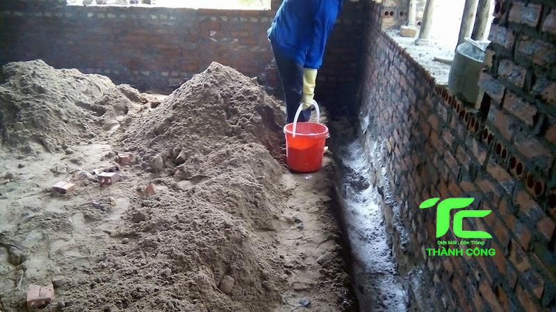 Dịch vụ chống mối công trình huyện Nhà Bè - chuyên nghiệp uy tín hàng đầu 6 Chống mối công trình huyện Nhà Bè