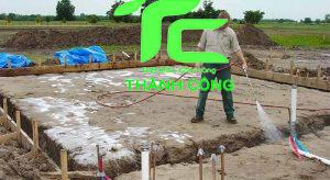 Dịch vụ chống mối công trình huyện Nhà Bè - chuyên nghiệp uy tín hàng đầu 19 Chống mối công trình huyện Nhà Bè