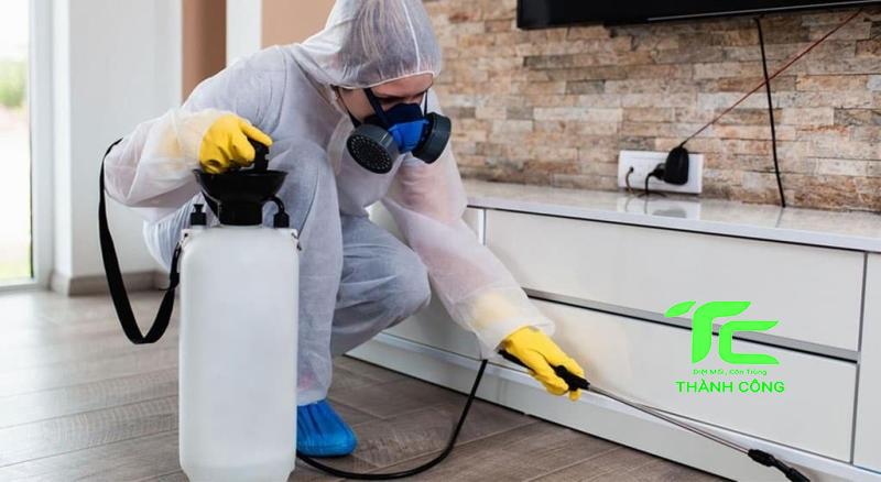 Công ty diệt mối tại Quận 10  giá rẻ, hiệu quả cao: Diệt mối Thành Công 9 Công ty diệt mối tại quận 10