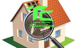 Công ty diệt mối tại tỉnh Điện Biên an toàn, chất lượng- Bảo vệ tổ ấm của bạn 13 Công ty diệt mối tại tỉnh Điện Biên