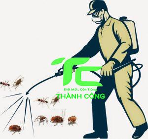 Công ty diệt mối tại tỉnh Thái Bình an toàn, chất lượng. Gợi ý giải pháp diệt mối tại gia hiệu quả nhất 19 Công ty diệt mối tại tỉnh Thái Bình