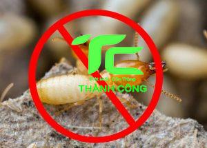 Dịch vụ diệt mối tại tỉnh Bắc Giang - giải quyết âu lo về mối một cách triệt để 12 Dịch vụ diệt mối tại tỉnh Bắc Giang