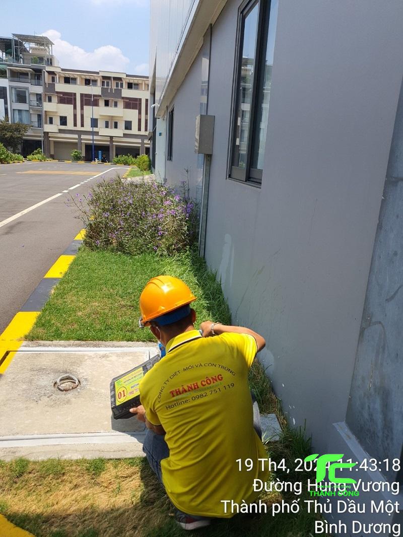 Dịch vụ diệt mối tận gốc tại nhà tỉnh Thái Nguyên 7 Dịch vụ diệt mối tận gốc tại nhà tỉnh Thái Nguyên