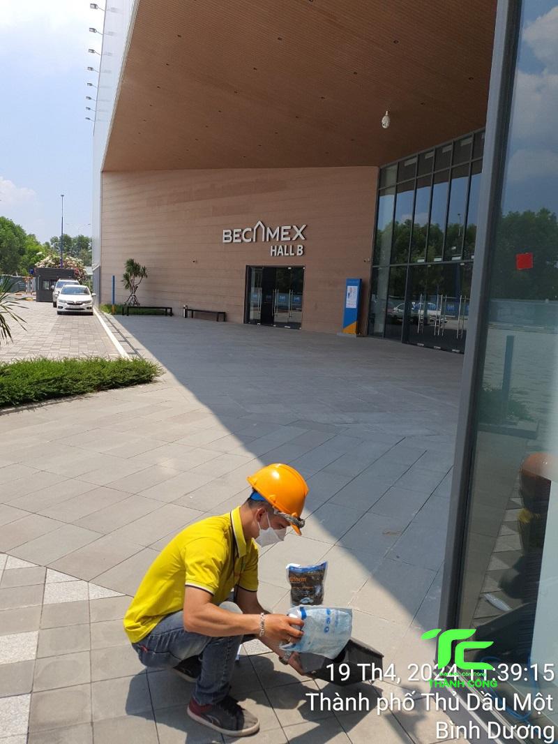 Dịch vụ diệt mối tận gốc tại nhà tỉnh Thái Nguyên 8 Dịch vụ diệt mối tận gốc tại nhà tỉnh Thái Nguyên