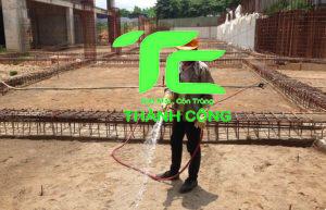 Diệt mối công trình tỉnh Ninh Bình giá rẻ, uy tín- hiệu quả 100% 18 Diệt mối công trình tỉnh Ninh Bình