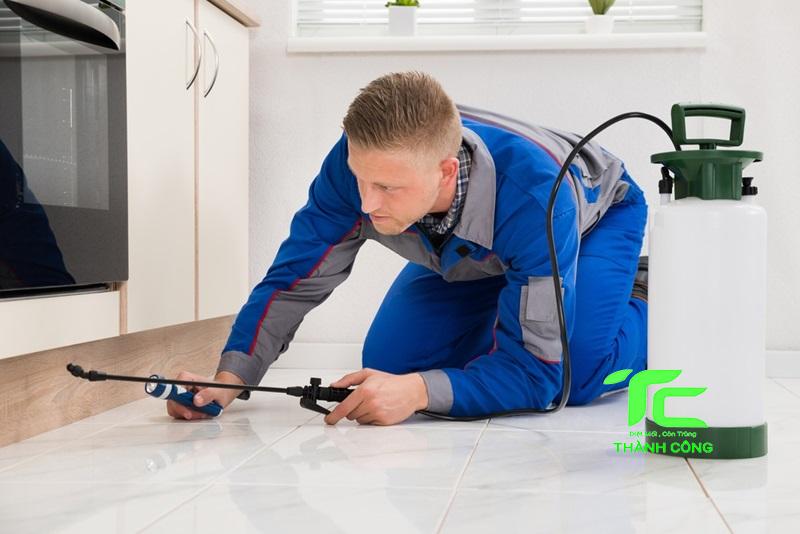 Bảo vệ ngôi nhà của bạn khỏi mối mọt với dịch vụ diệt mối tại quận 6 - Hồ Chí Minh uy tín, chất lượng 8 diệt mối tại quận 6
