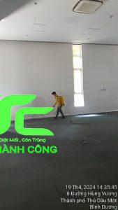 Công ty diệt mối tại tỉnh Quảng Ninh - Dịch vụ diệt mối uy tín, chất lượng 1 diệt mối tại tỉnh quảng ninh