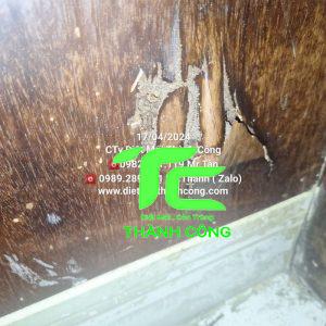 Diệt mối tận gốc tại nhà quận Tân Phú an toàn, giá rẻ 18 diệt mối tận gốc tại nhà quận Tân Phú