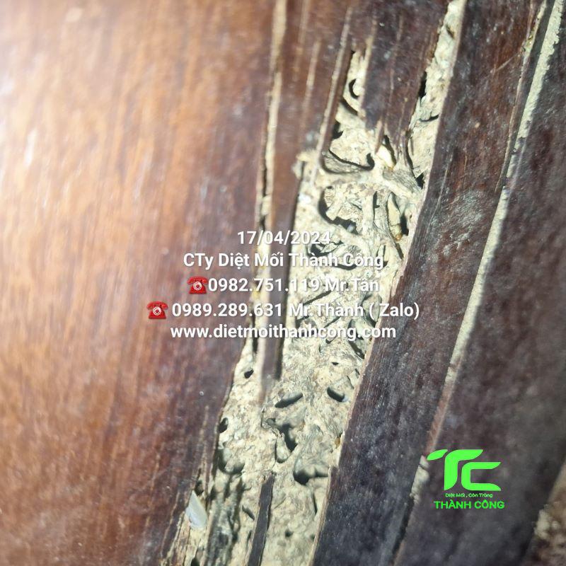 Diệt mối tận gốc tại nhà tỉnh Bắc Ninh an toàn, giá rẻ 5 Diệt mối tận gốc tại nhà tỉnh Bắc Ninh an toàn giá rẻ