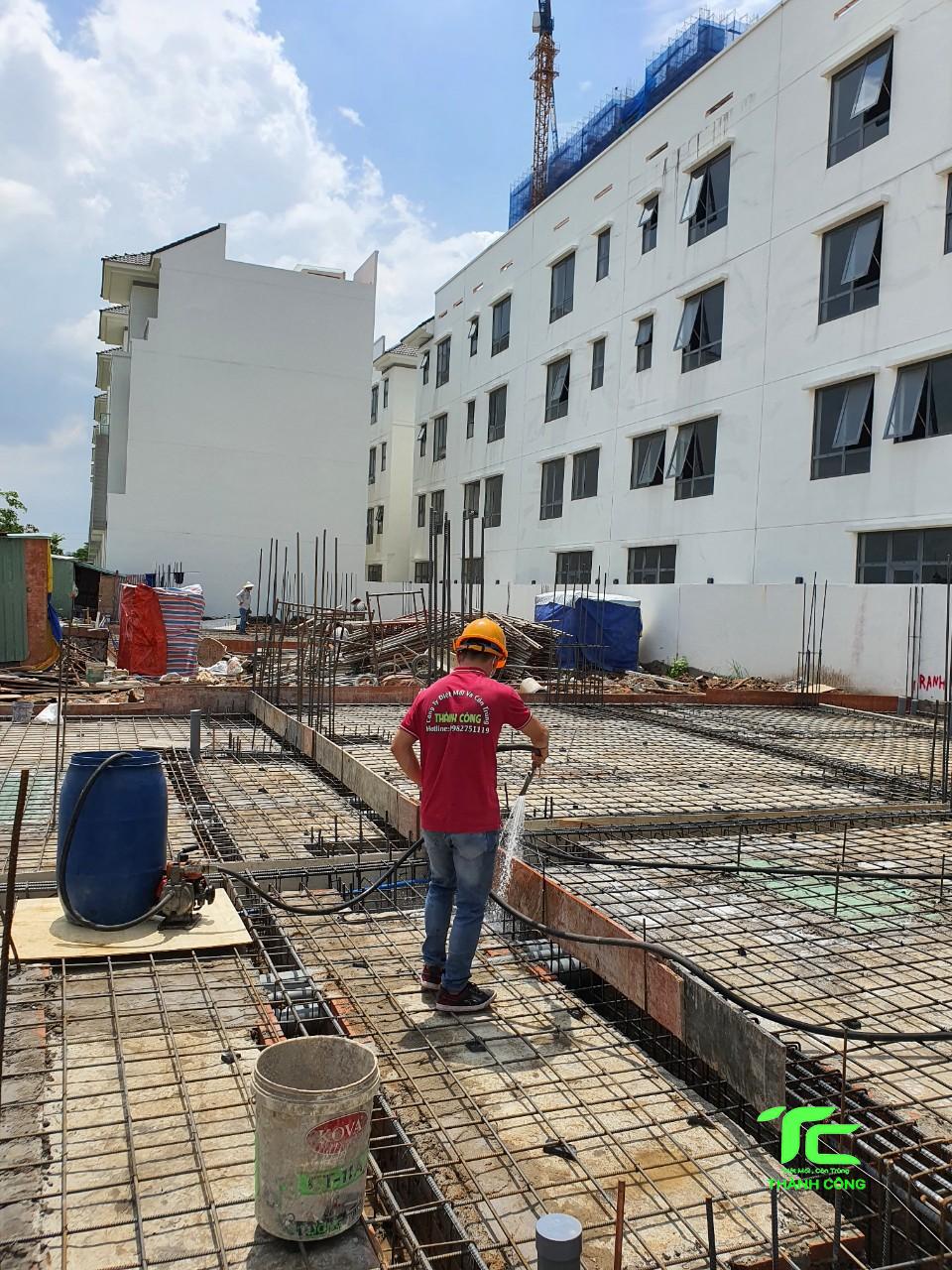 Quy trình diệt mối công trình quận Bình Tân 7 Quy trình diệt mối công trình quận Bình Tân