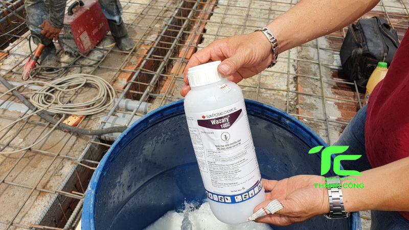 Dịch vụ diệt mối tại quận Tân Bình