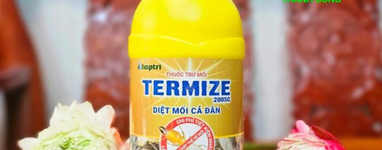 dịch vụ diệt mối tại quận Tân Bình