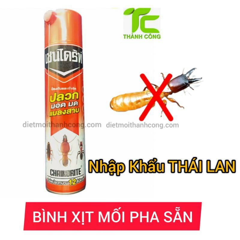 dịch vụ diệt mối tại quận Tân Bình