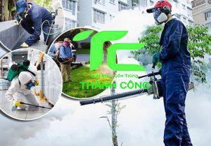 Diệt Mối Thành Công- Diệt mối tại nhà quận Bình Tân uy tín, giá rẻ 7 Diệt mối tại nhà quận Bình Tân
