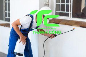 Dịch vụ diệt mối tận gốc tại quận 11 giá rẻ, nhanh chóng 9 diệt mối tận gốc tại quận 11