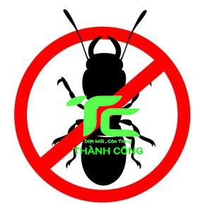 Diệt mối tận gốc với quy trình diệt mối công trình quận Bình Thạnh 21 Quy trình diệt mối công trình quận Bình Thạnh