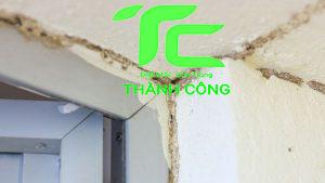 Quy trình diệt mối công trình quận Thủ Đức 3 Quy trình diệt mối công trình quận Thủ Đức