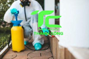 Cách diệt mối tận gốc, xử lý mối tại nhà quận 7 an toàn, hiệu quả 6 Xử lý mối tại nhà quận 7