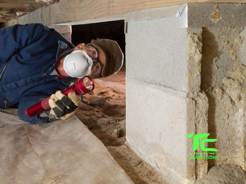 Cách chống mối cho nhà mới xây hiệu quả, tận gốc 5 chống mối cho nhà mới xây