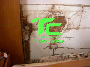 Cách chống mối cho nhà mới xây hiệu quả, tận gốc 9 chống mối cho nhà mới xây