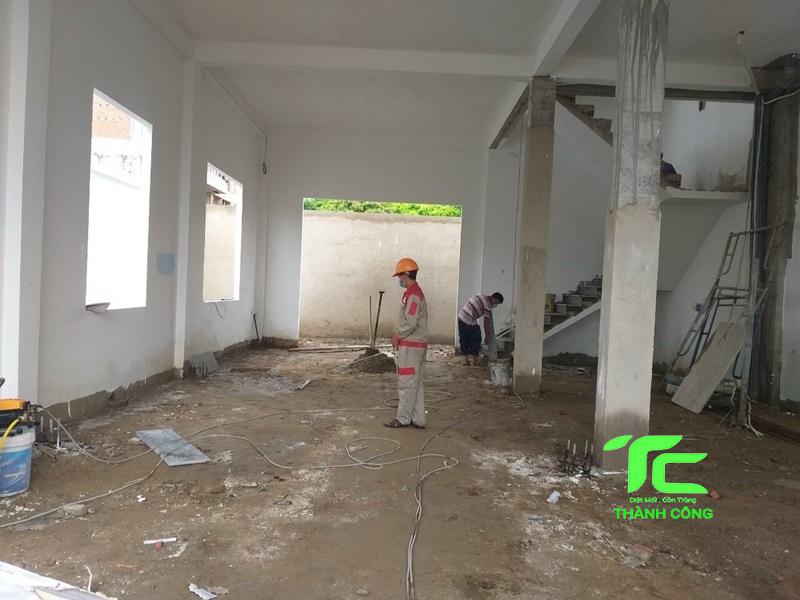 Cách chống mối cho nhà mới xây hiệu quả, tận gốc 8 chống mối cho nhà mới xây