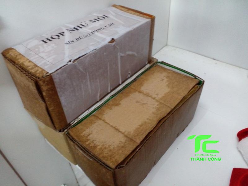 Diệt mối tại nhà bằng hộp nhử mối hiệu quả, đơn giản 5 Hộp nhử mối