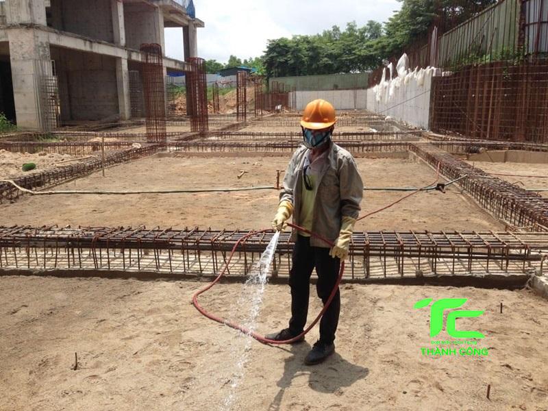 Mẹo phòng chống mối cho công trình xây dựng triệt để 5 phòng chống mối