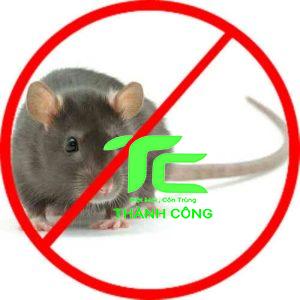 Chuột có sợ mùi nước hoa không? Cách đuổi chuột bằng mùi hương hiệu quả 4 Chuột có sợ mùi nước hoa không