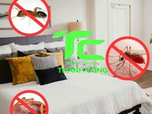 7+ Cách đuổi kiến trong phòng ngủ nhanh chóng và an toàn 21 đuổi kiến trong phòng ngủ